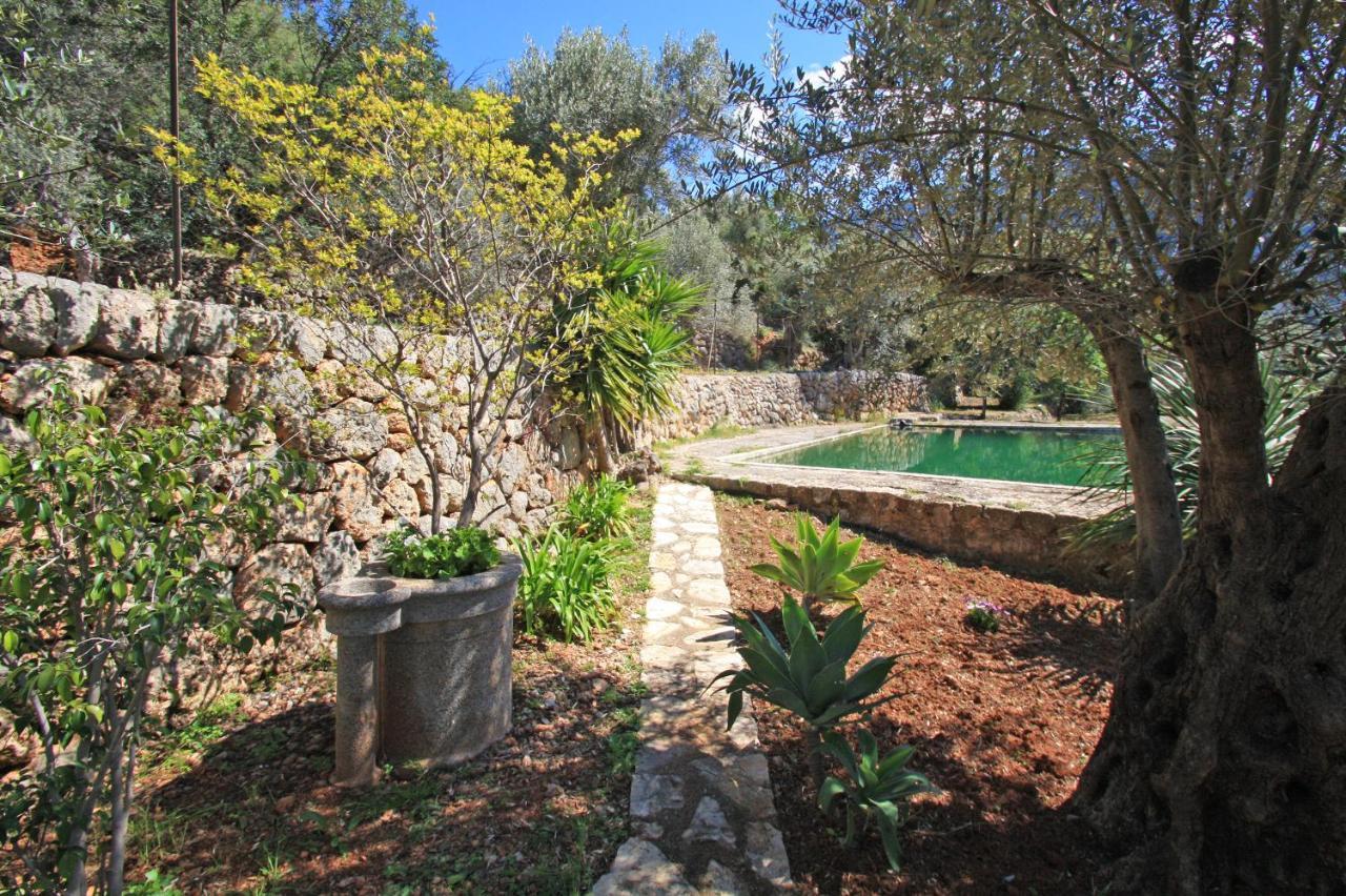Bac Feriehus Sóller